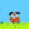 DUCK HUNT